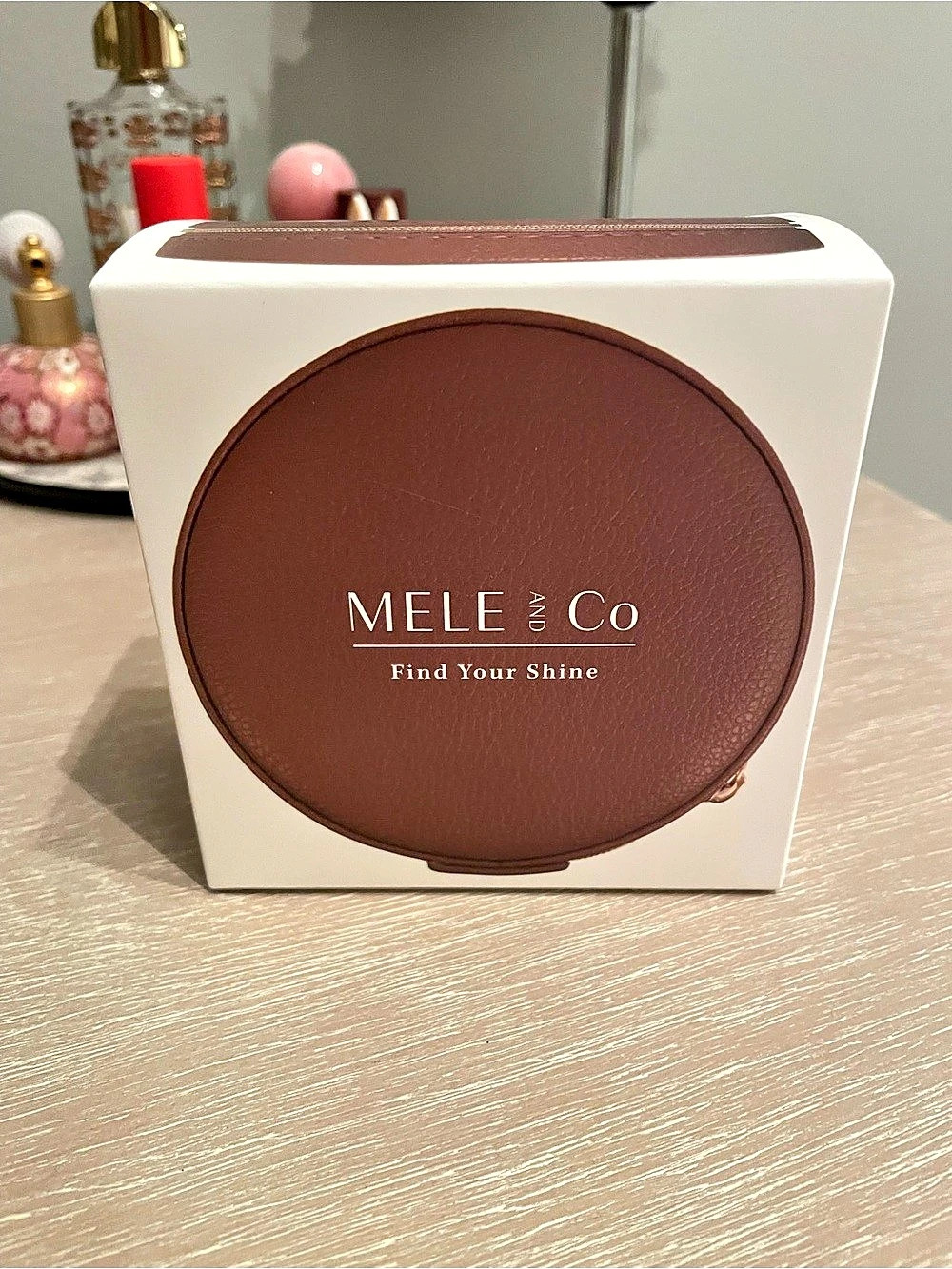 Mele & Co. Passage Travel Jewelry Case in Brown